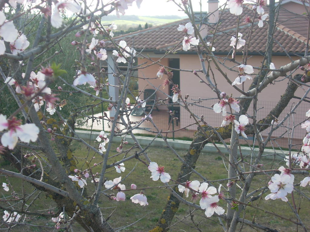 Country house Ai Campi Da Golf *